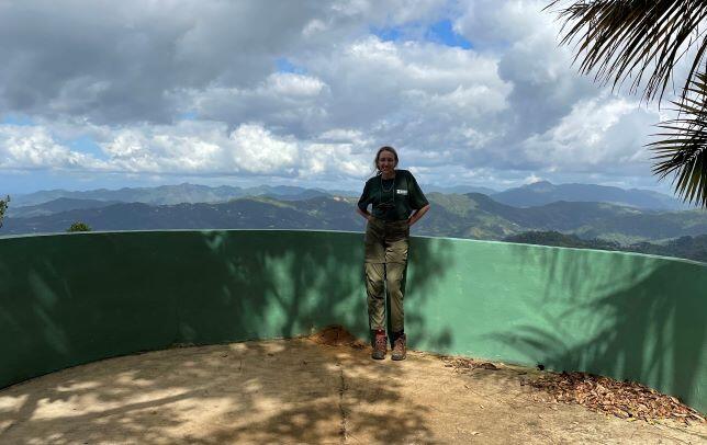 person standing in front of mountain range