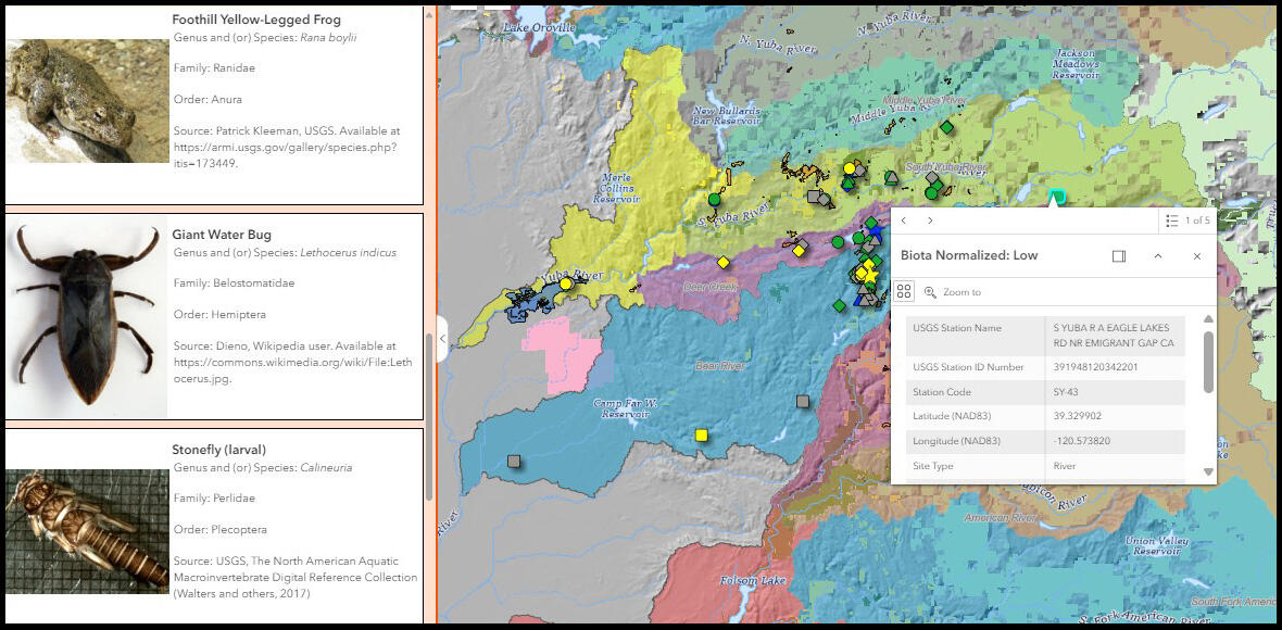 Screenshot of the map of total mercury and methylmercury concentrations in biota samples