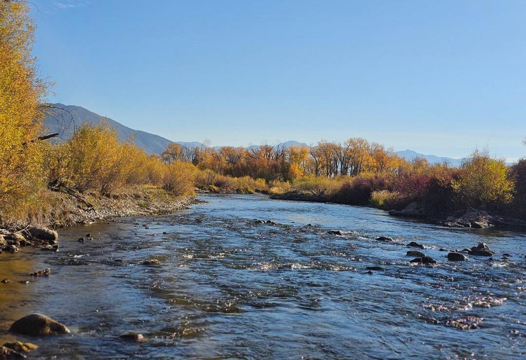 Birch Creek