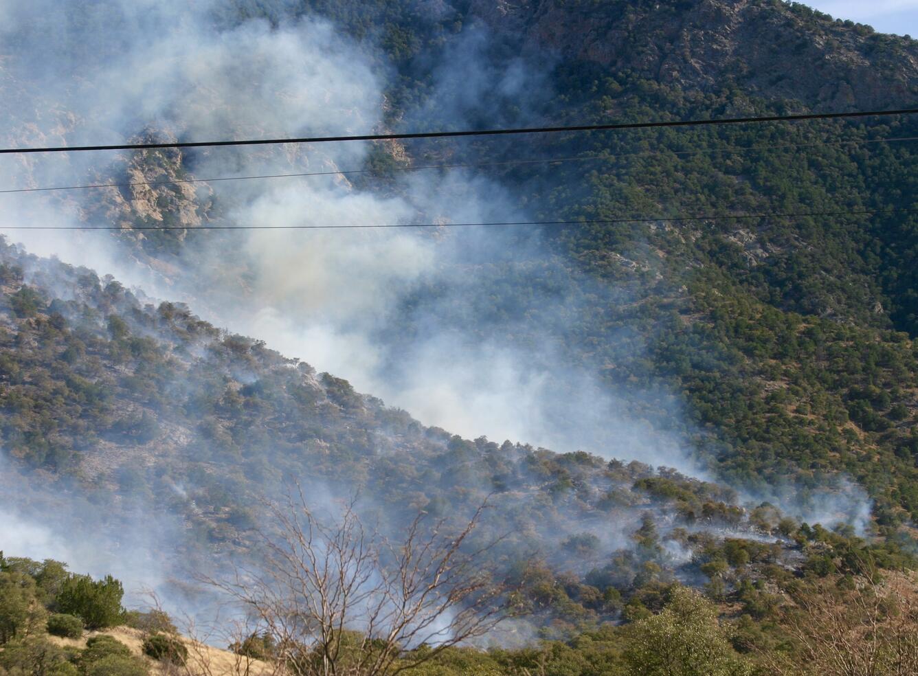 tree covered hills with smoke billowing up 
