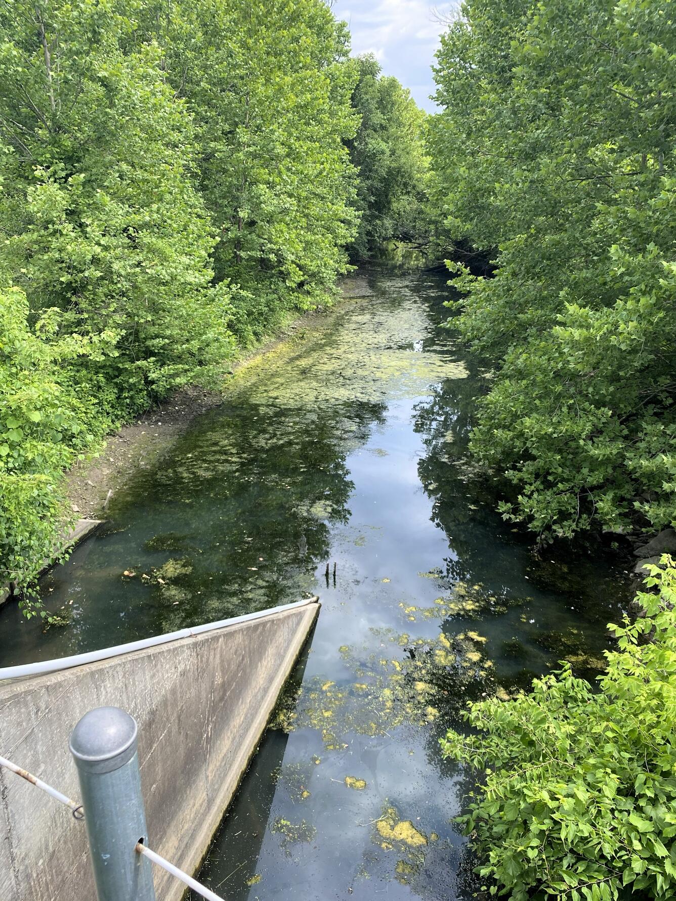 View of stream from bridge