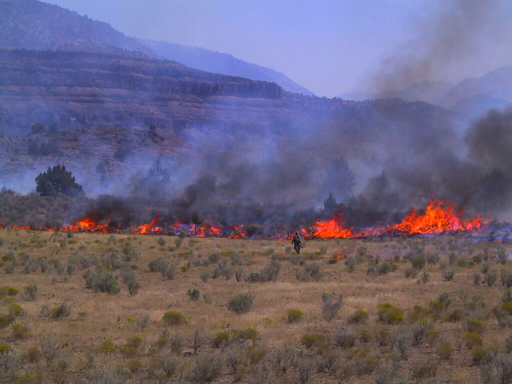 a firefighter walks toward burning shrub in a sagebrush landscape