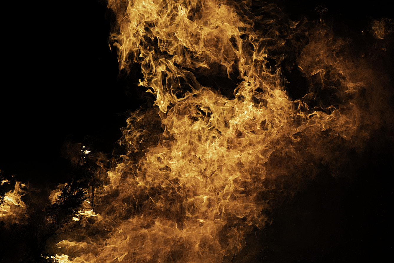 bright fire burns against a black background, some shadows of shrubs in the fire