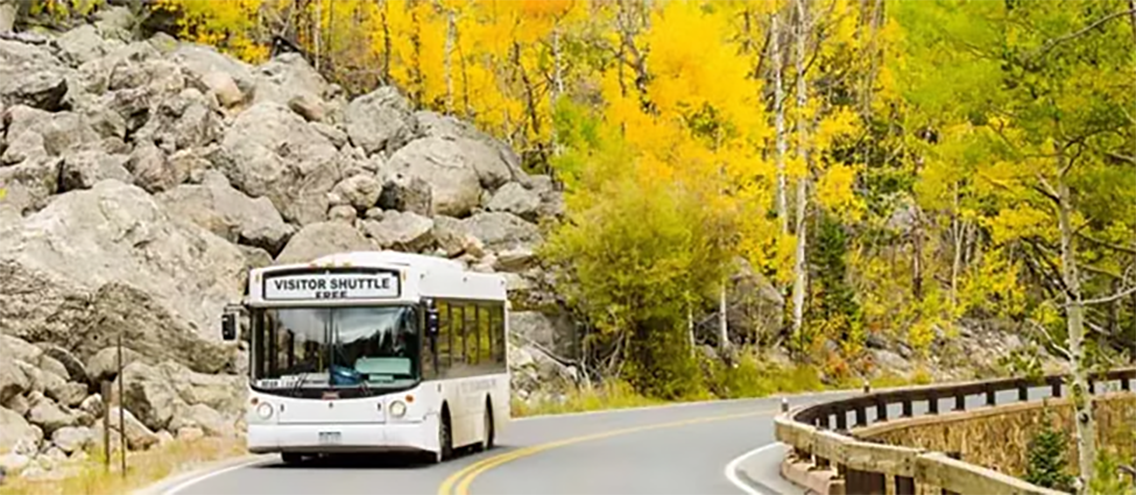 image of a bus driving on a curved road through a forest