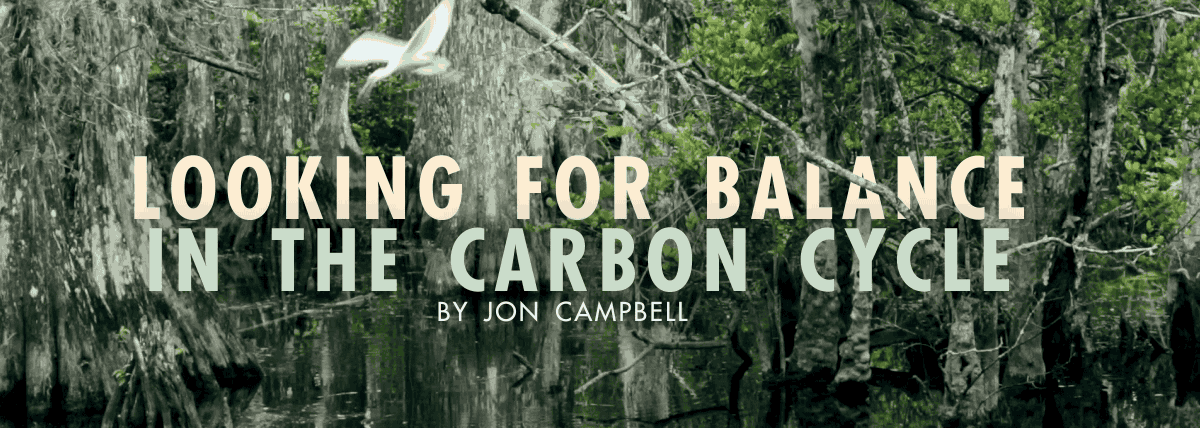 Looking for Balance in the Carbon Cycle