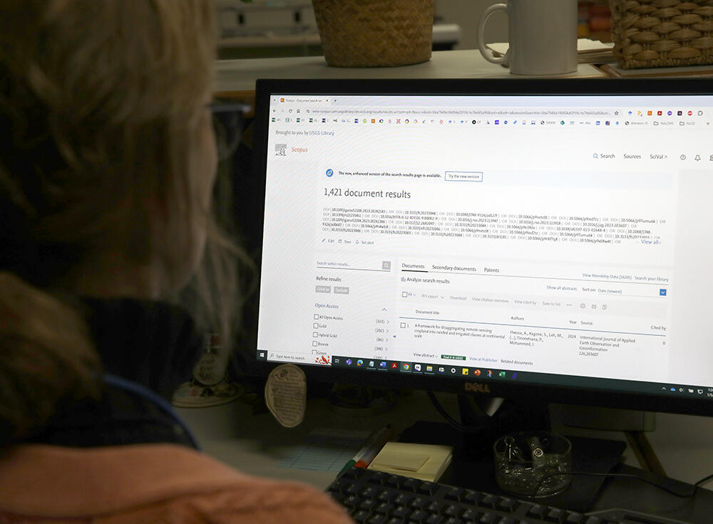 A woman at a computer