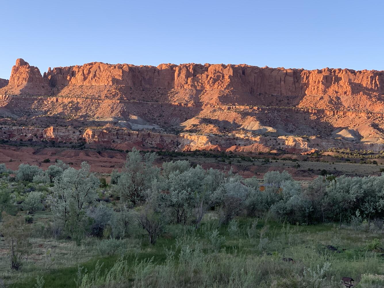 grasses in front and cliffs in the distance at Capitol Reef National Park