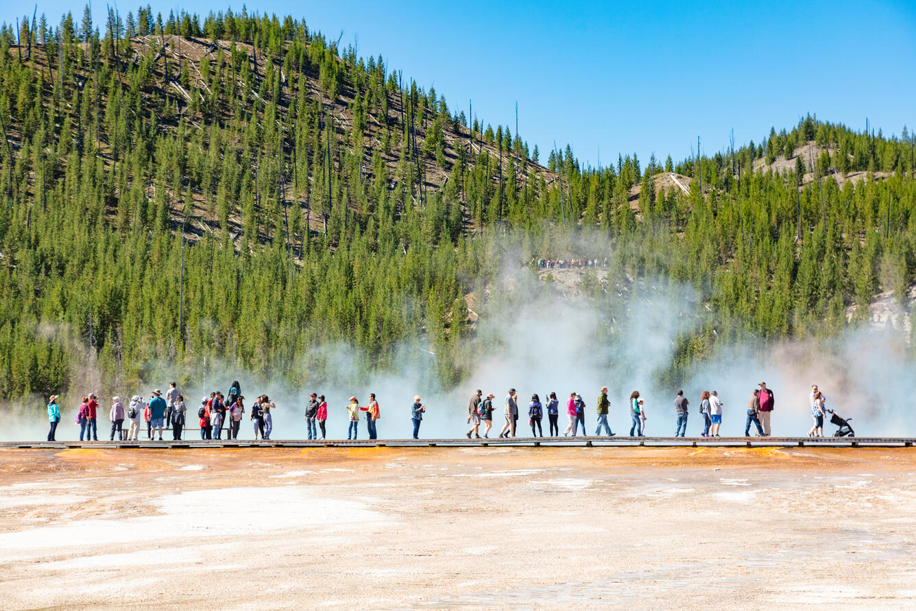 people walk in a line on a boardwalk. Below them is orange sand, above them steam and conifers on a hill.