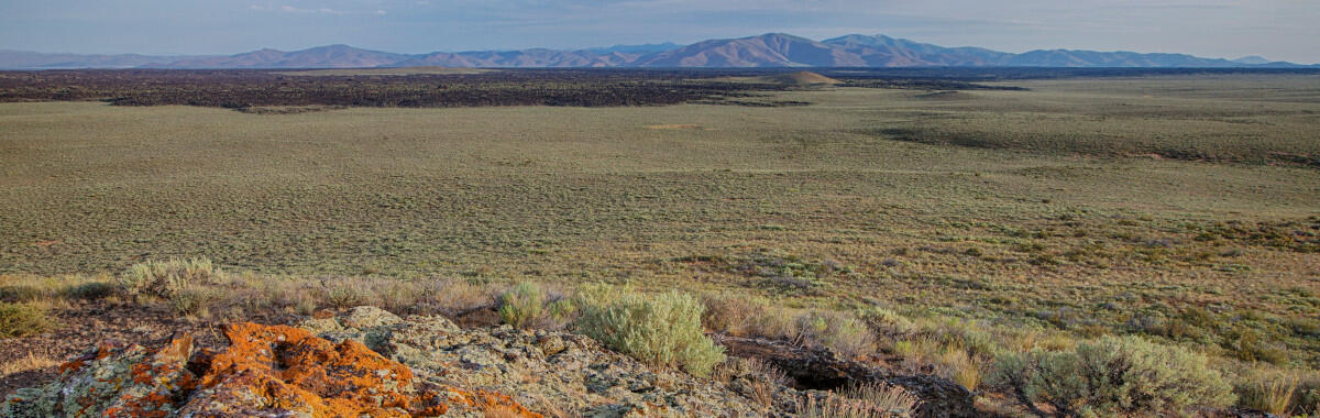 photo of vast shrubland, some mountains in the background