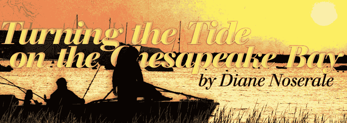 Turning the Tide on the Chesapeake Bay