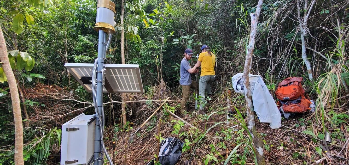 people and equipment in a densely vegetated area