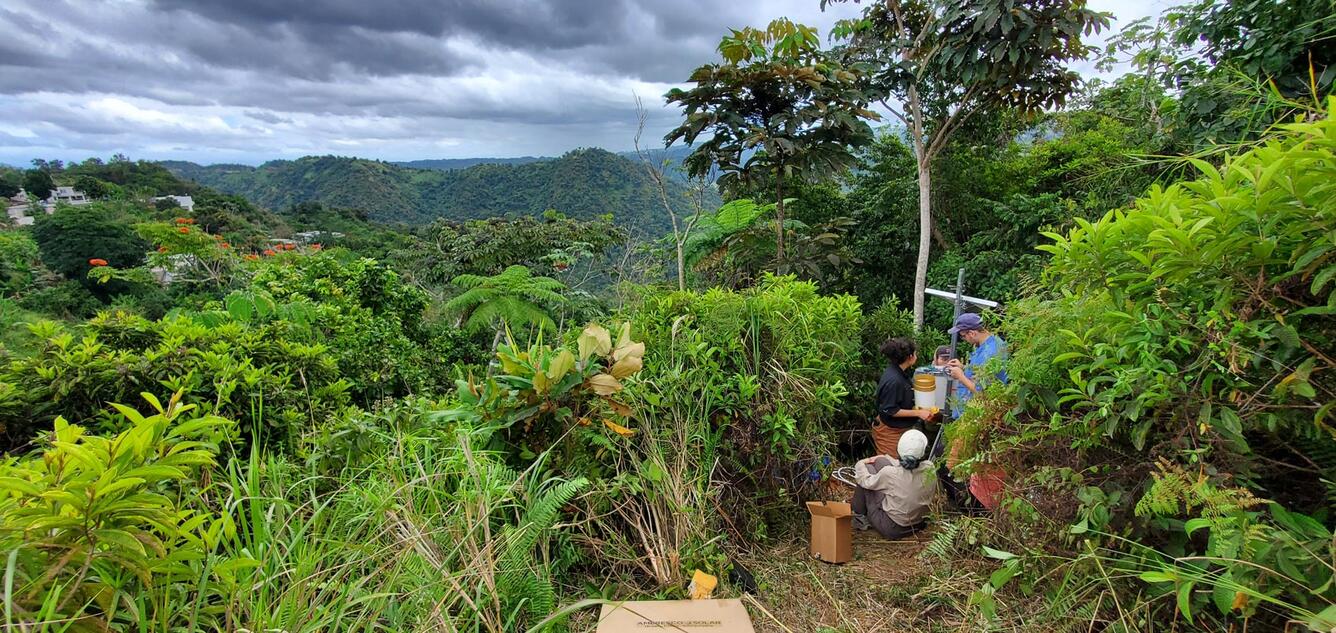 people and equipment in a densely vegetated area