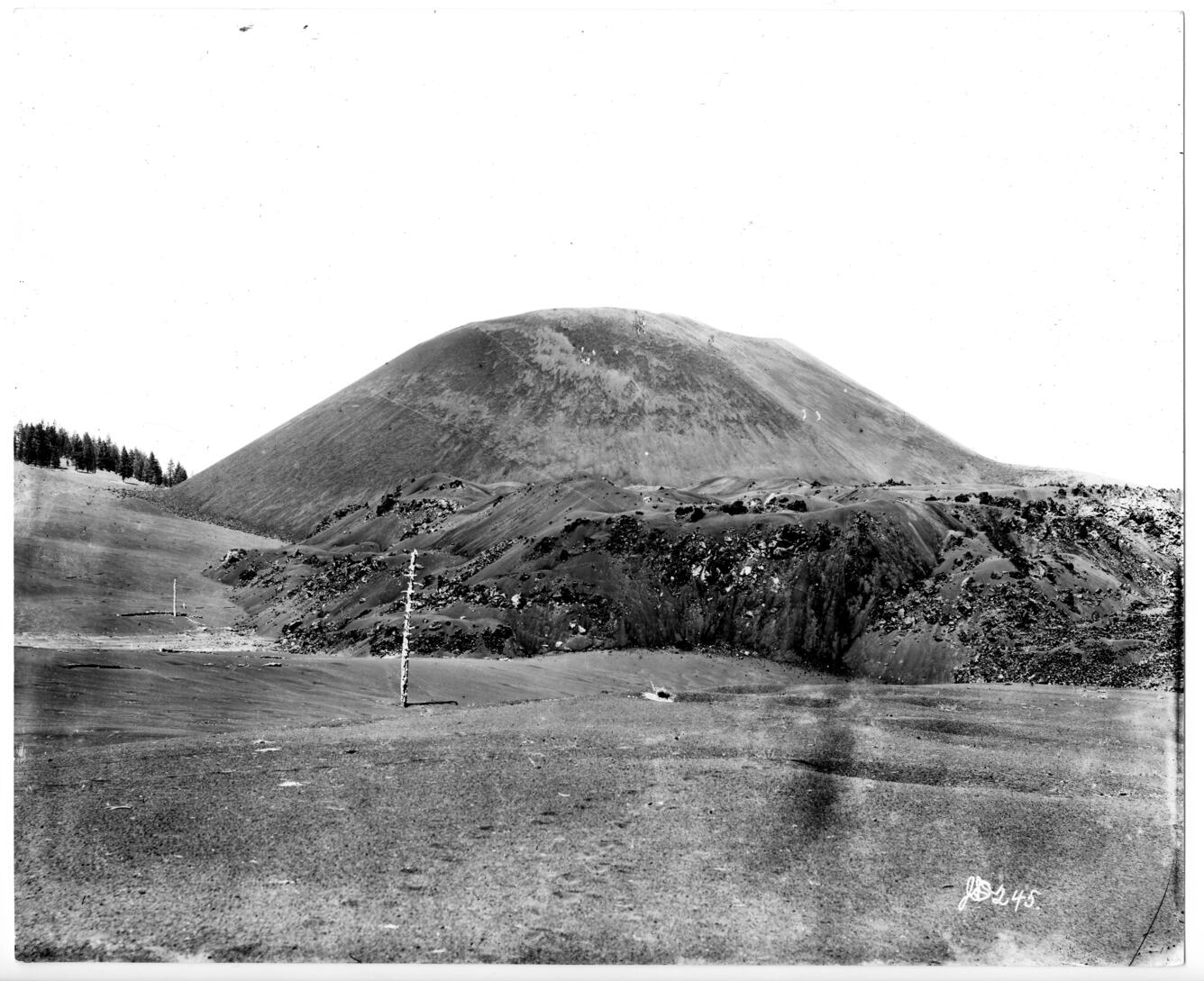 A historic black-and-white photo shows a small, round mountain made up of barren rocks. A huge lava flow spreads from its base, sparsely dotted by spindly pine trees. 
