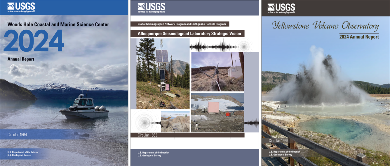 Three publication report covers side by side