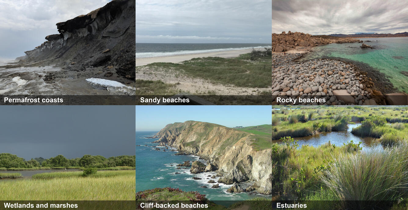 examples of different coastlines, estuaries, wetlands, and marshes