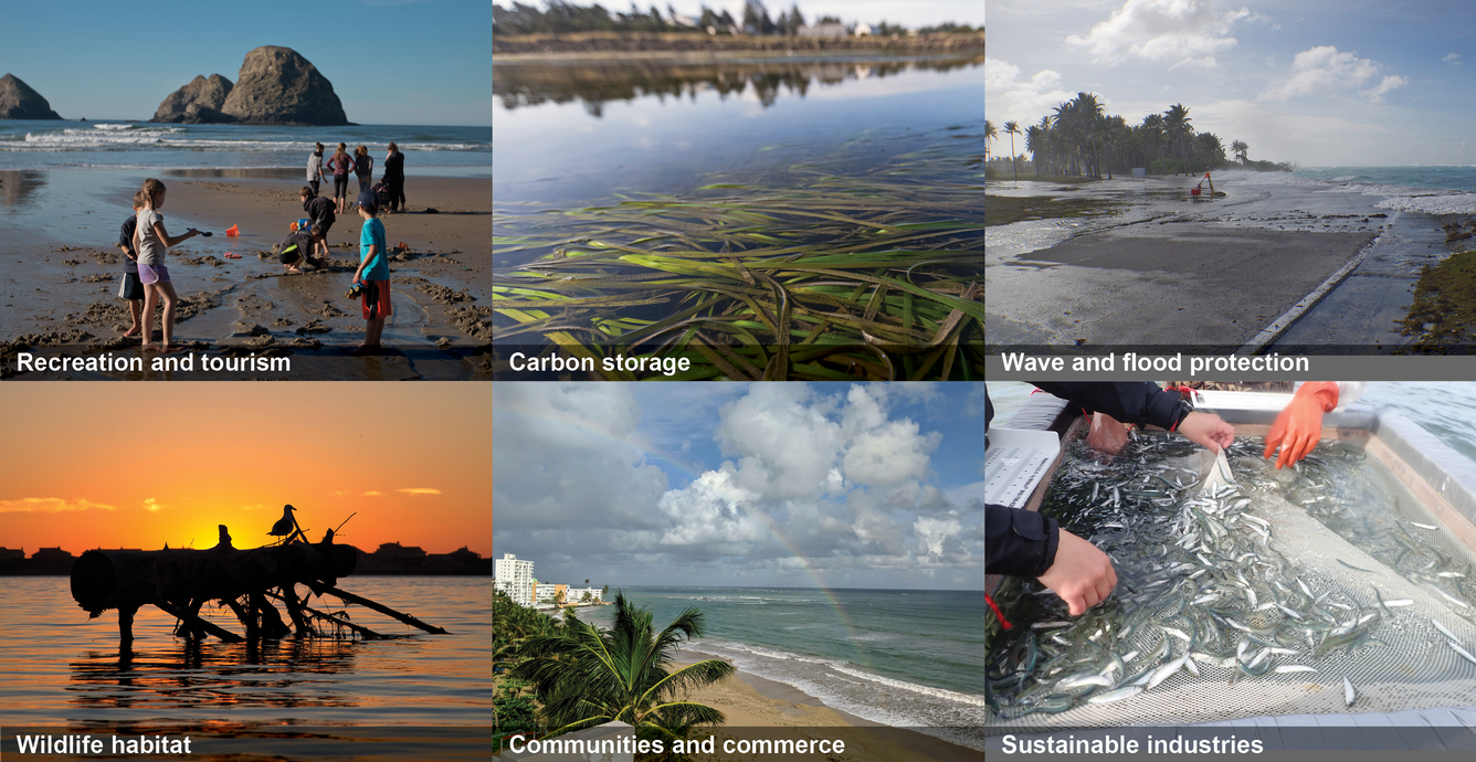 A six-image collage depicting various benefits of coastal areas