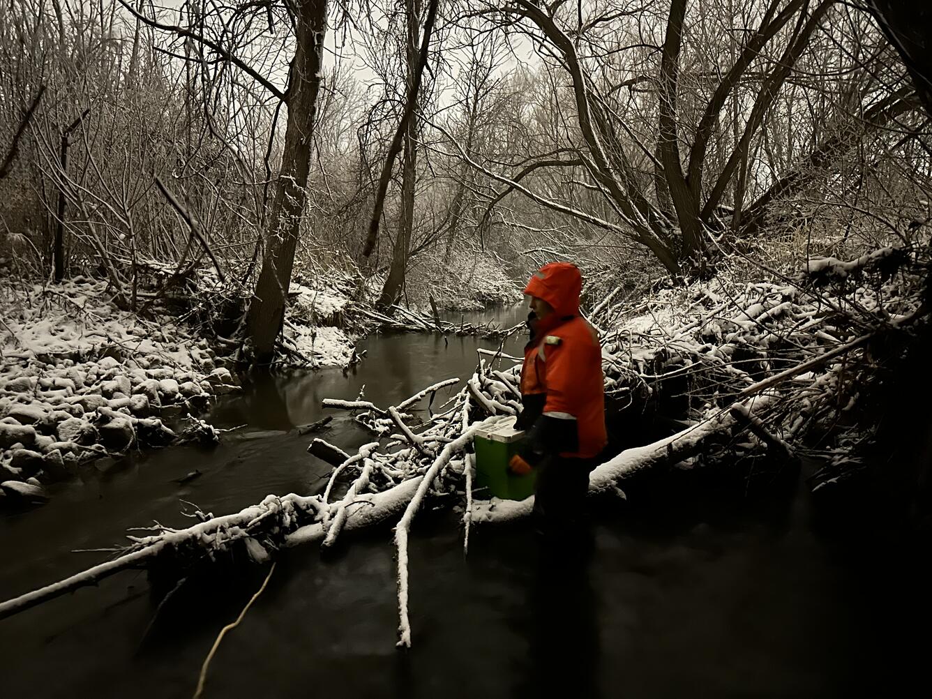 Scientist holding green cooler while standing in stream with snow on surrounding landscape in woods in winter