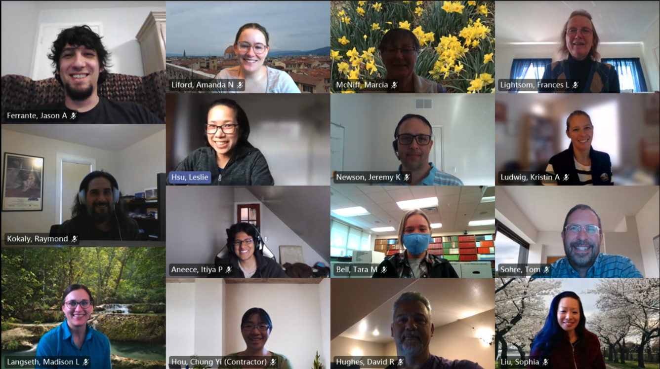 Screenshot of a Teams meeting with CDI Coordinators