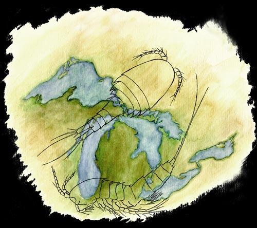 Drawing of the Great Lakes with a copepod overlay