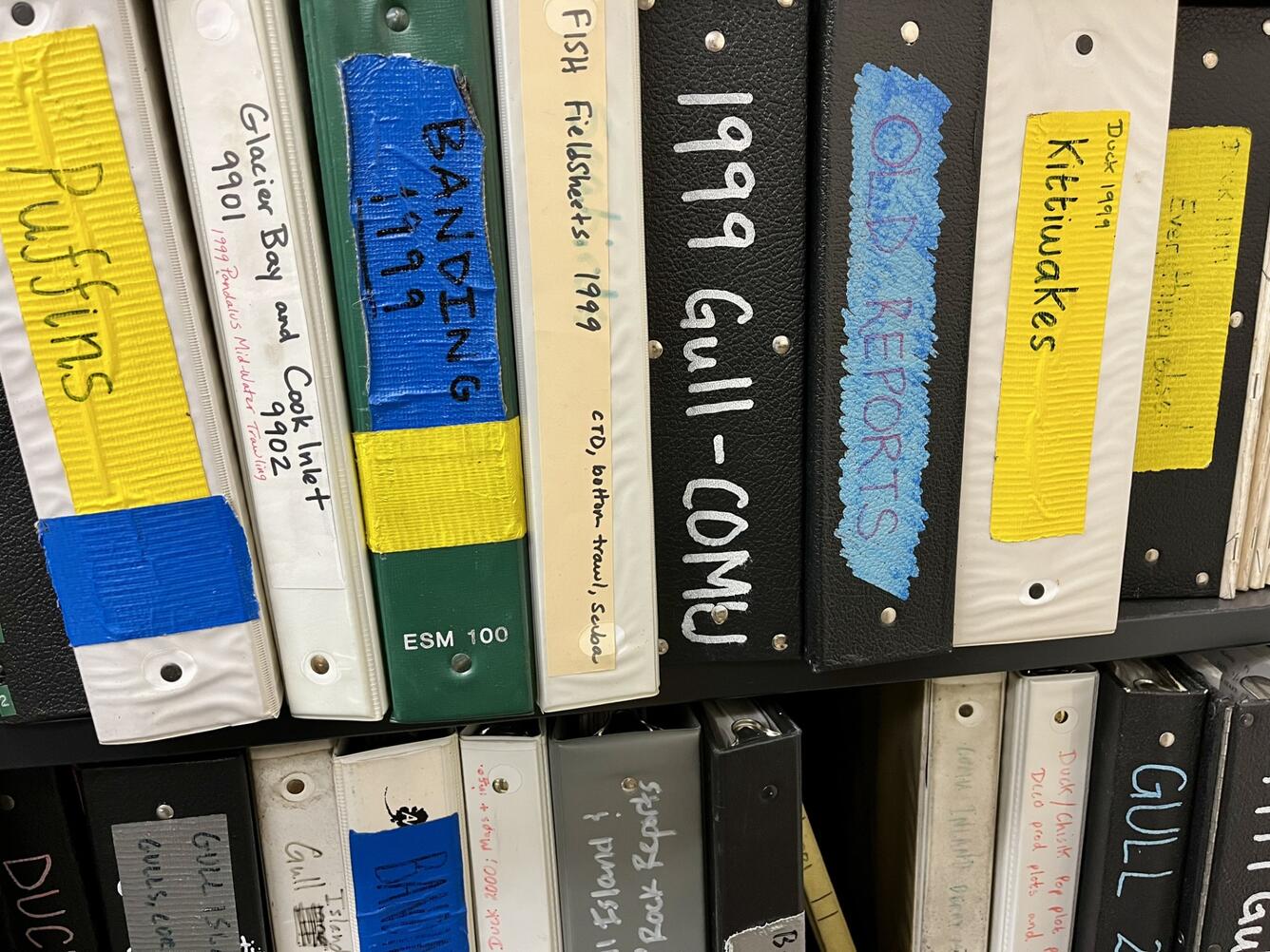 Black and white three-ring binders with content labels.