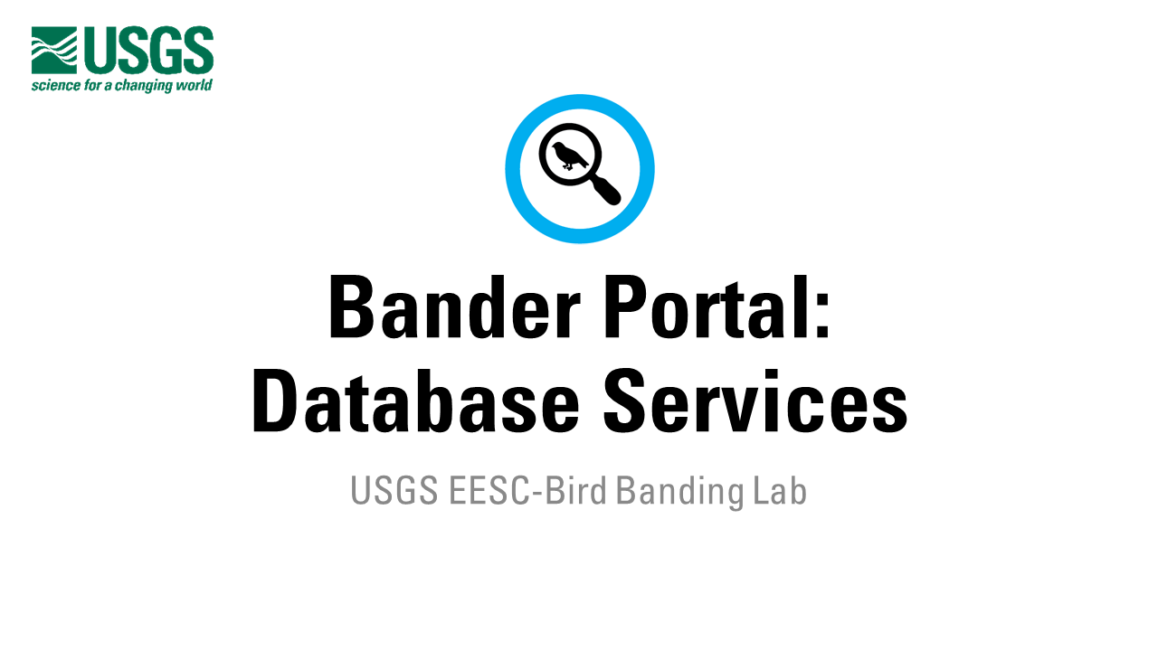 A title slide icon with a magnifying glass looking at a bird above the title