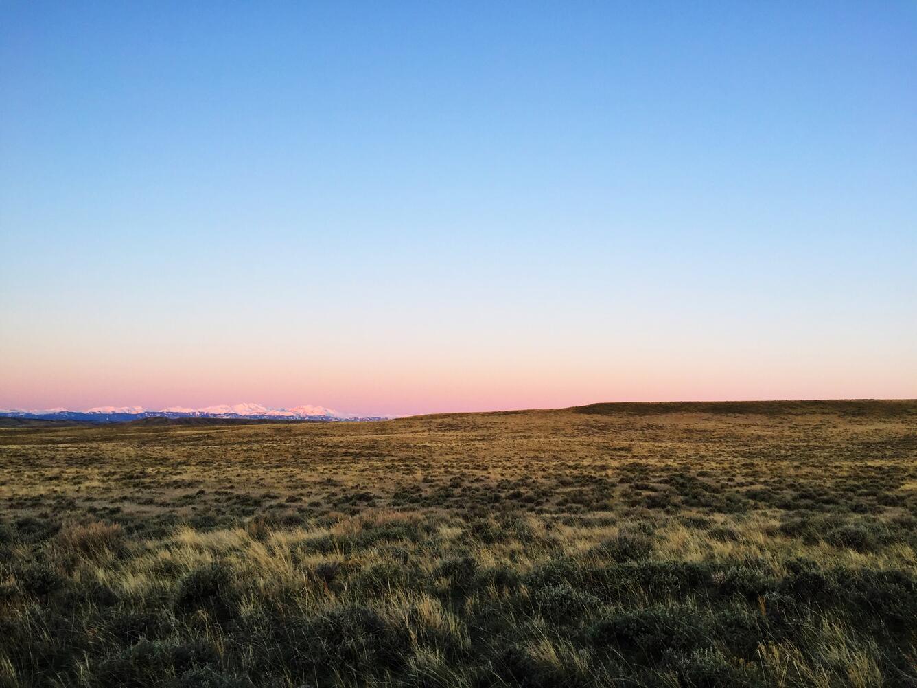 sagebrush landscape with snow-capped mountains in the far distance, sun beginning to rise over the mountains
