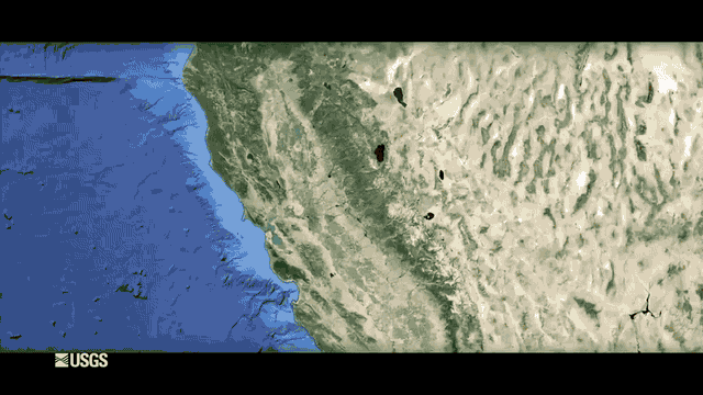 Value of the Bay-Delta