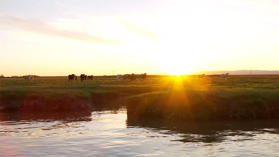SF Bay-Delta from POV of USGS vessel at sunset