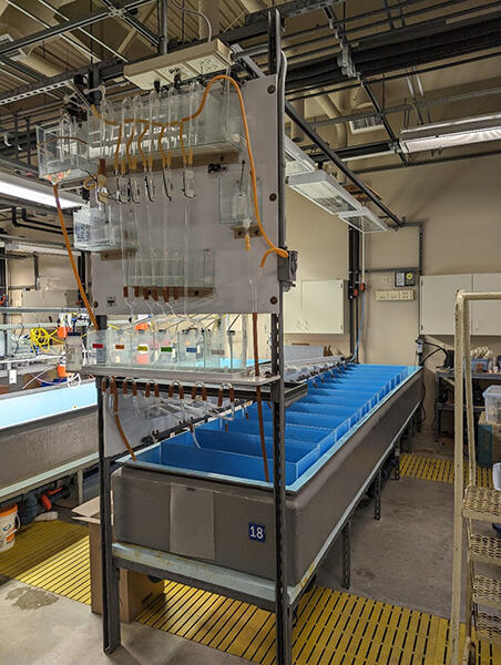 image of a diluter at CERC