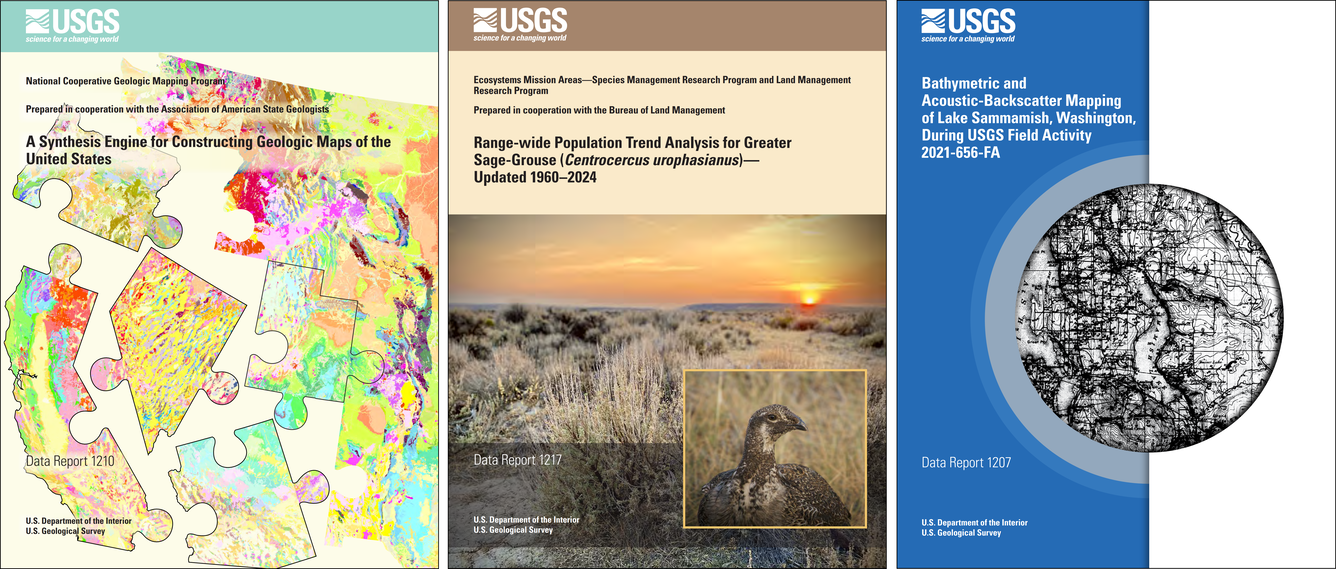 Three publication report covers side by side