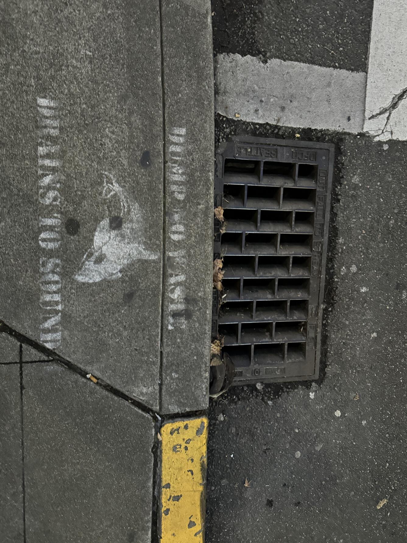 street water drain to Puget Sound