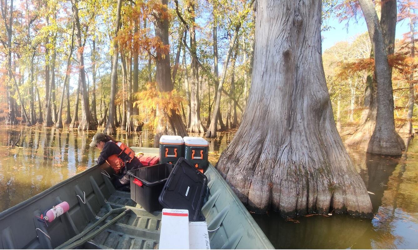 eDNA sample collections