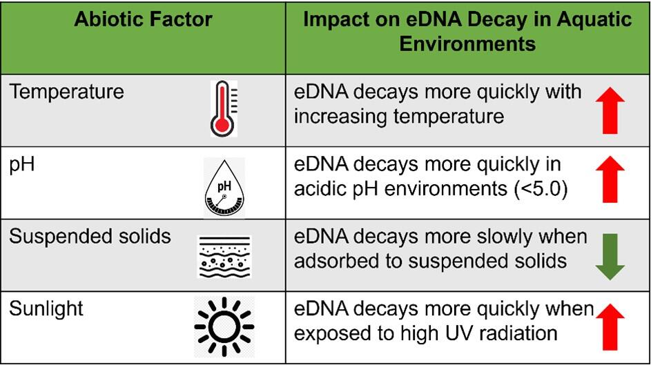 chart of common abiotic factors known to influence the decay rate of eDNA