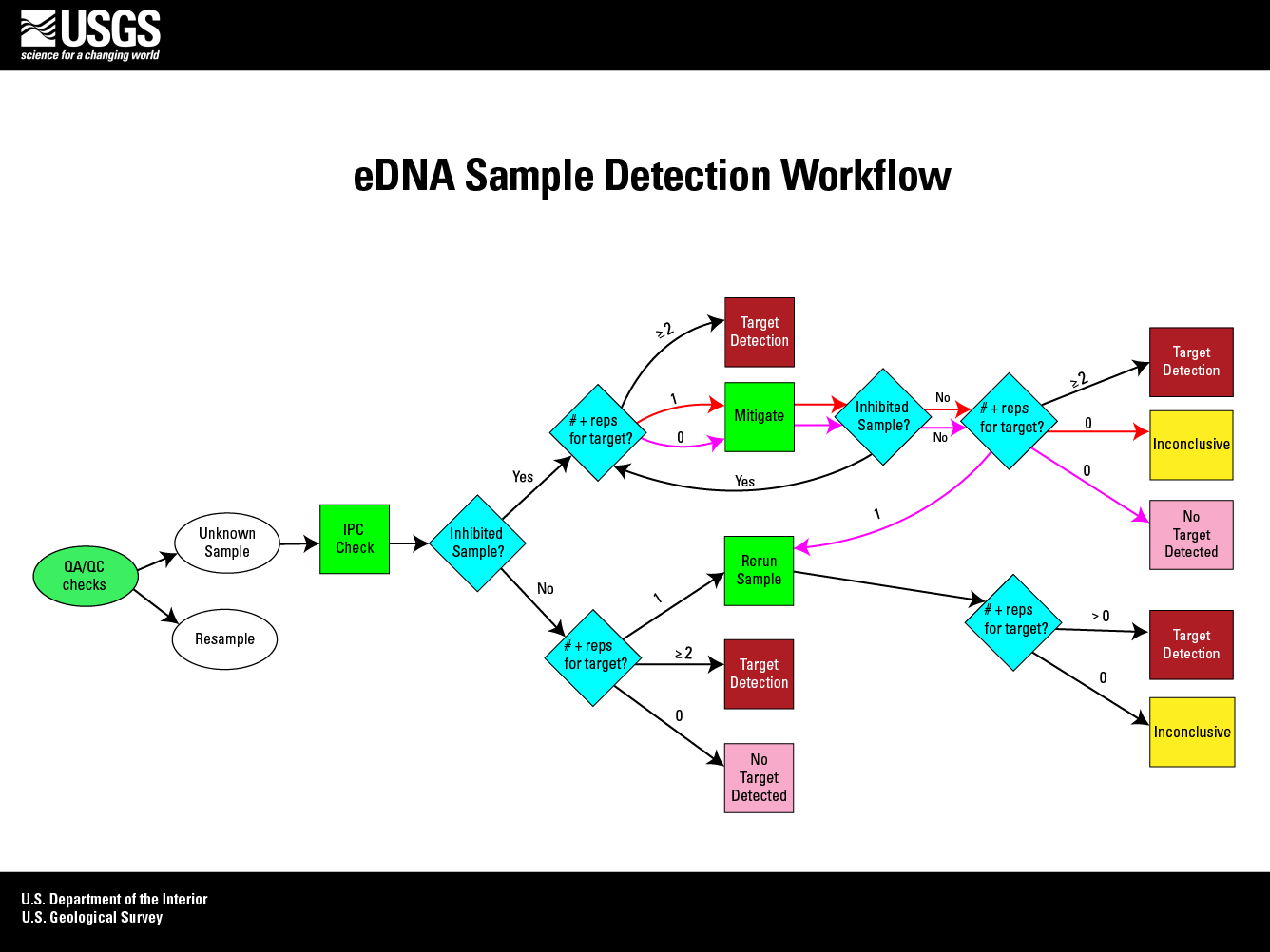 Flowchart of an example of an eDNA sample detection workflow and the steps involved.