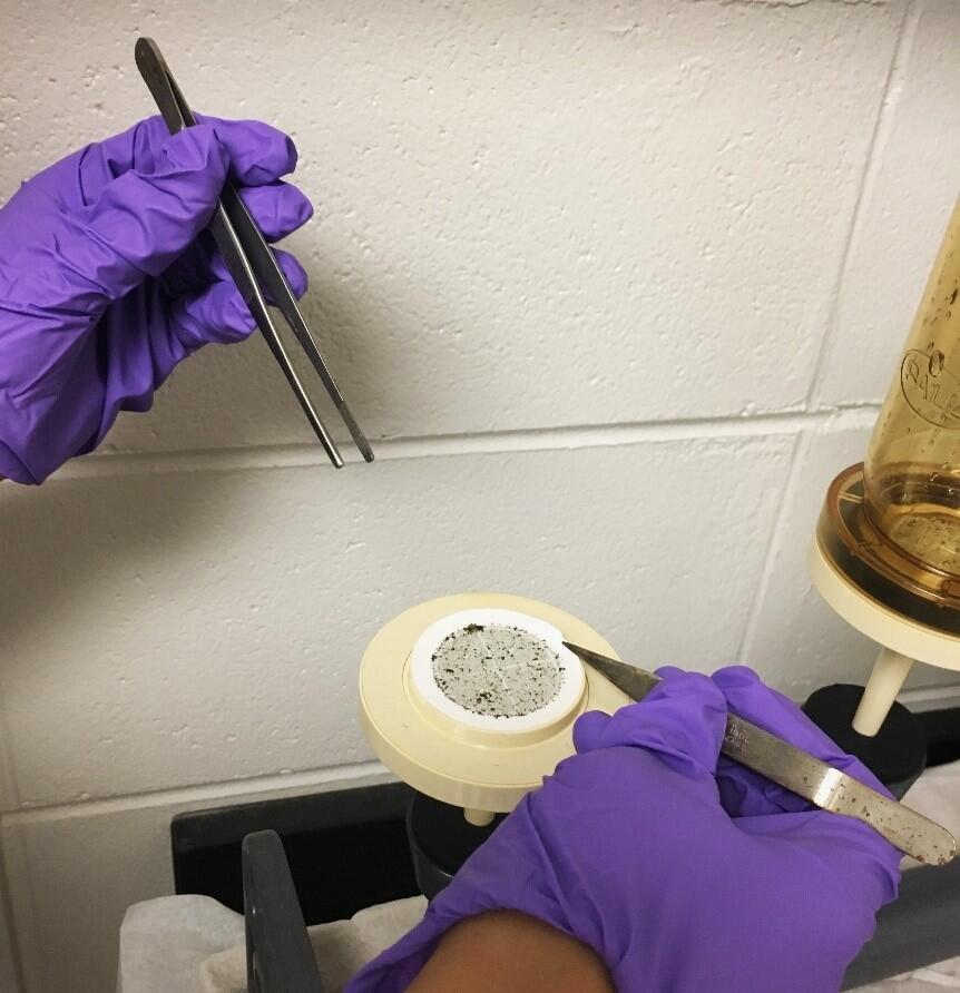 Collecting a filter with eDNA from water samples