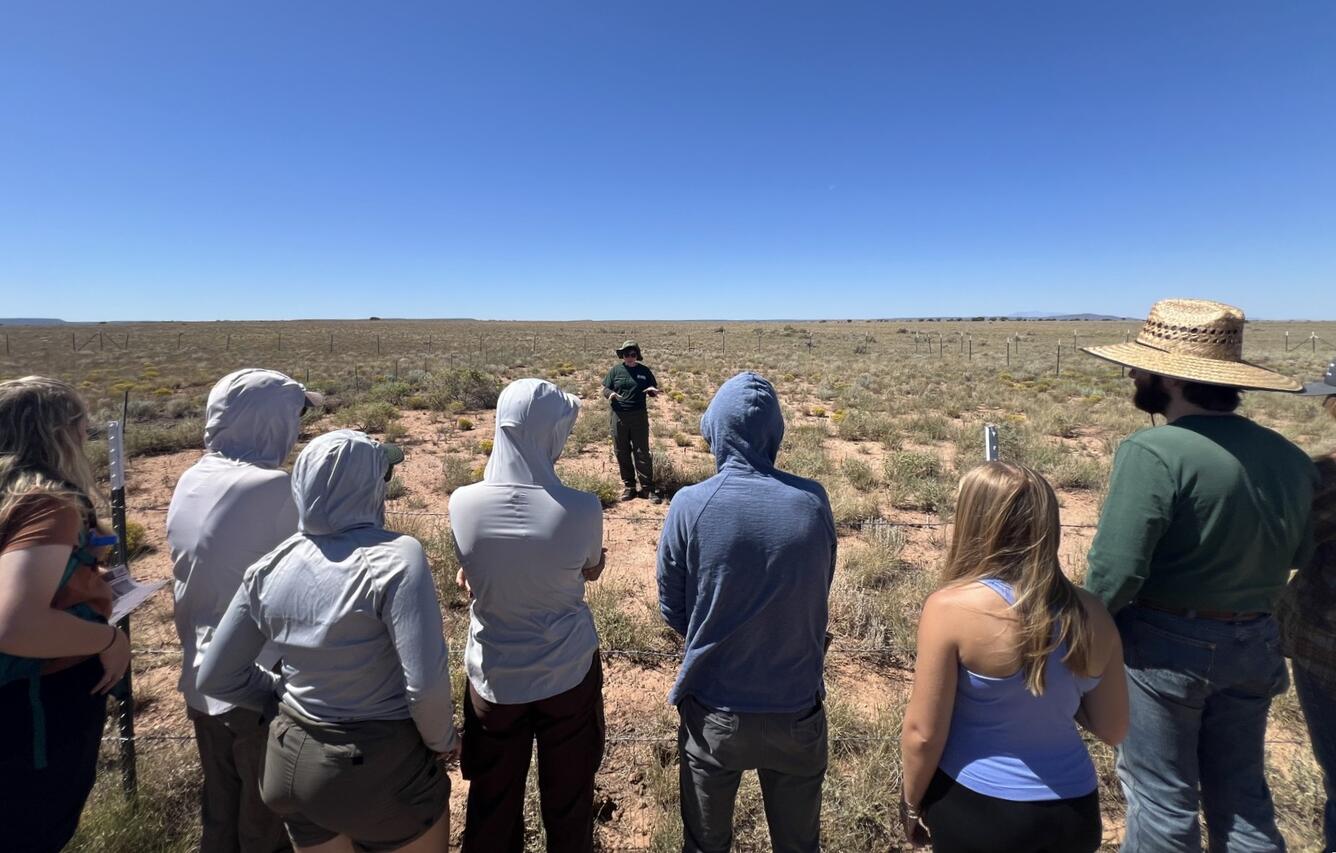 Students watch a USGS ecologist describe restoration experiments in a field in Northern Arizona rangelands