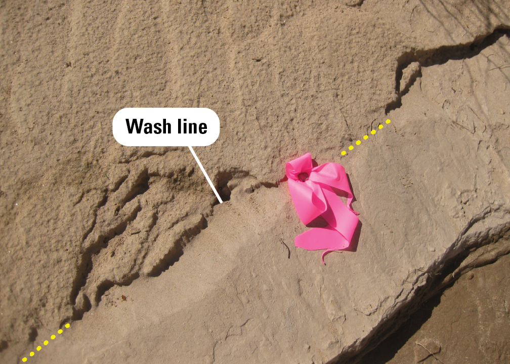 Sandy sediment with a pocked surface on the upper part and smooth surface on the bottom. A flag marks the demarcation line.