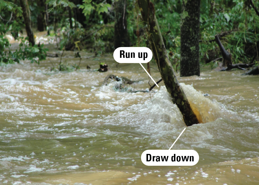 Swift floodwaters pile up on the upstream side of a tree, creating a pocket of space without water on the downstream side
