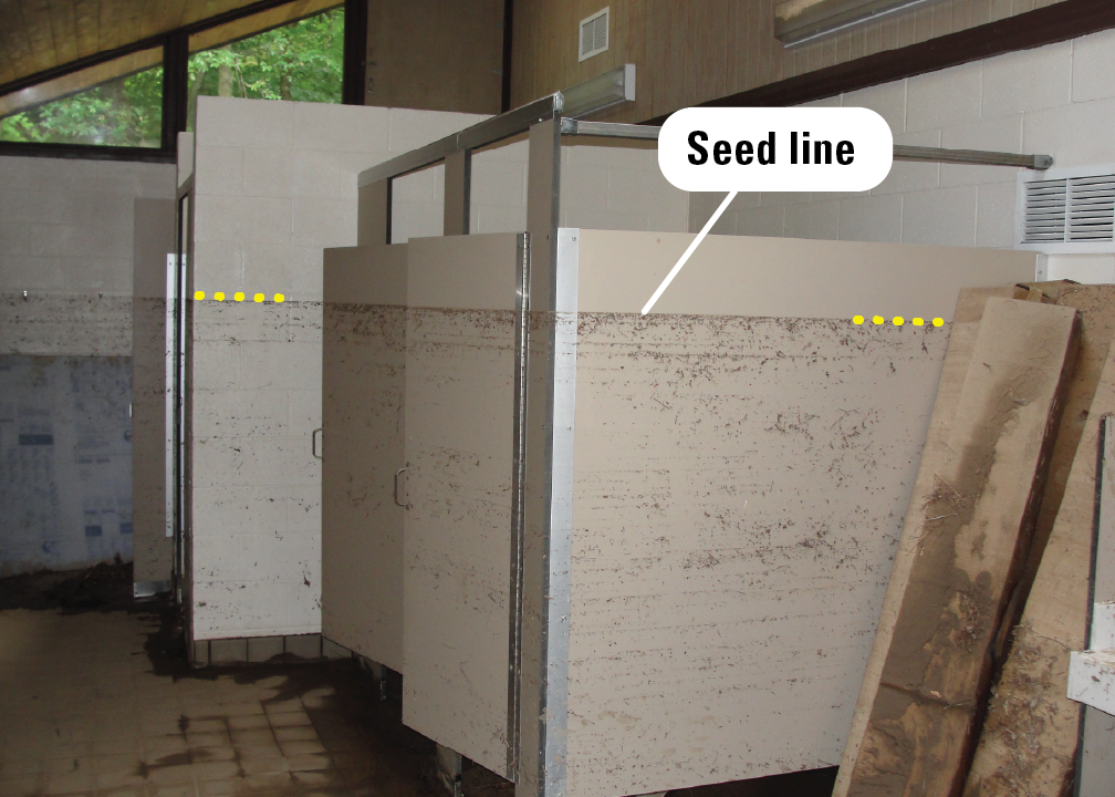 Seed lines on the inner surfaces of a restroom.
