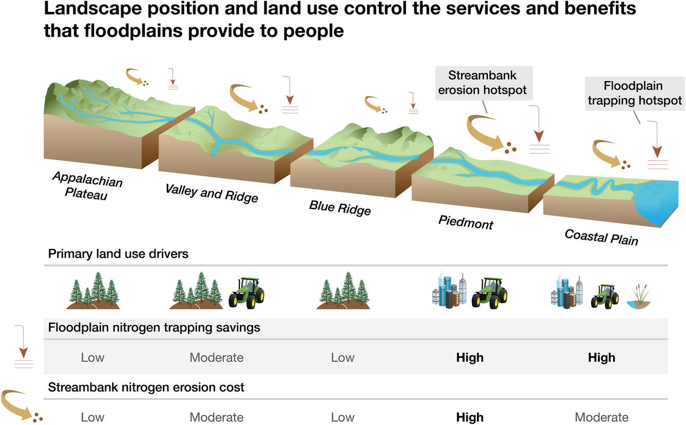 Landscape position and land use are controls on floodplain sediment and nutrient trapping (down arrow) and streambank erosion