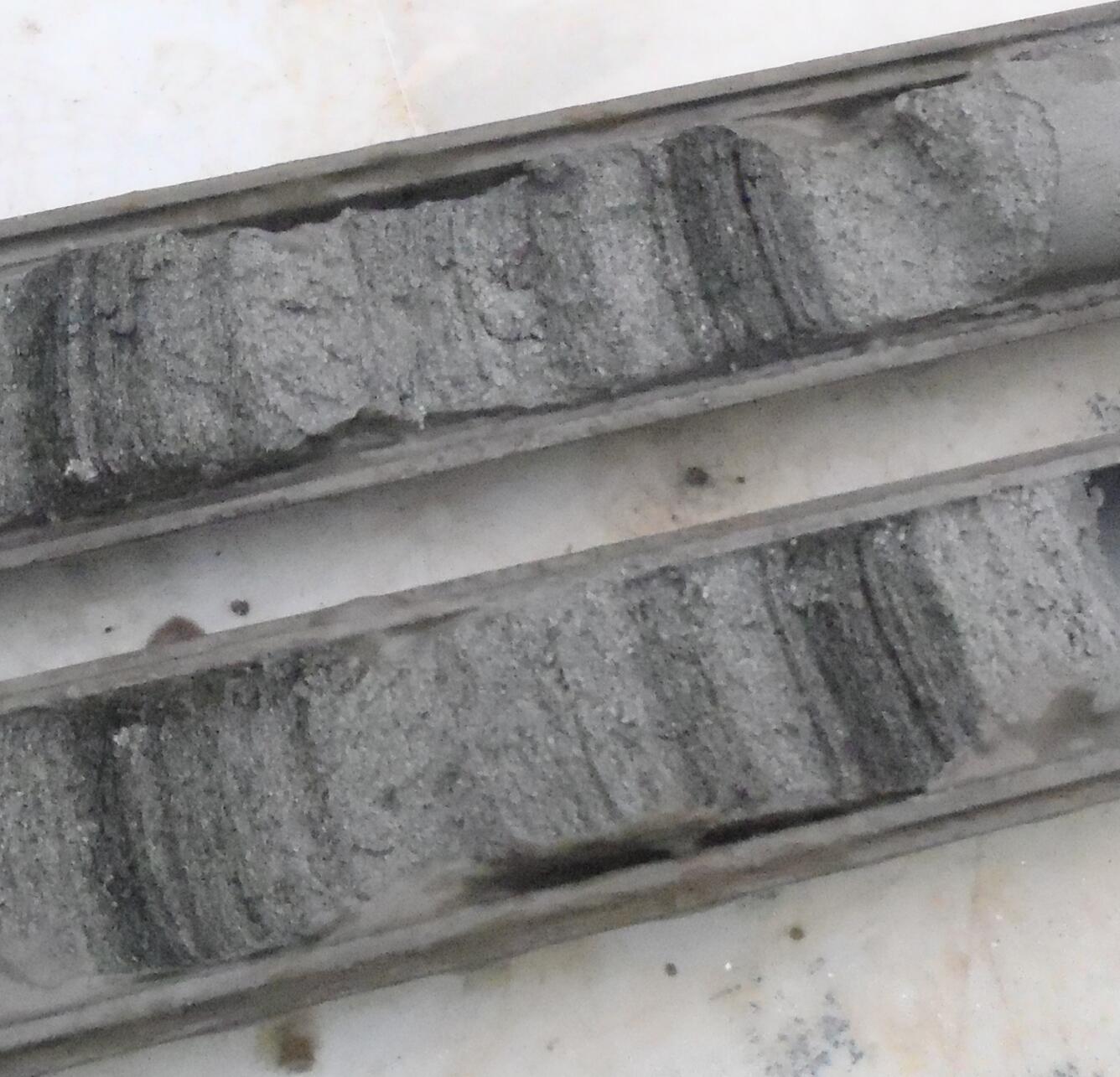 Sediment core sample from the Magothy aquife