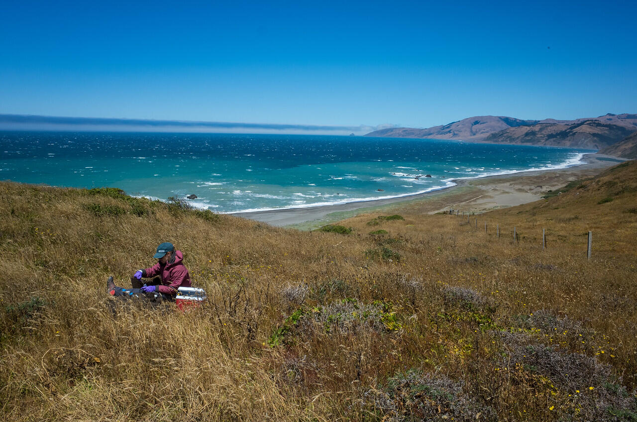 sampling a marine terrace soil chronosequence