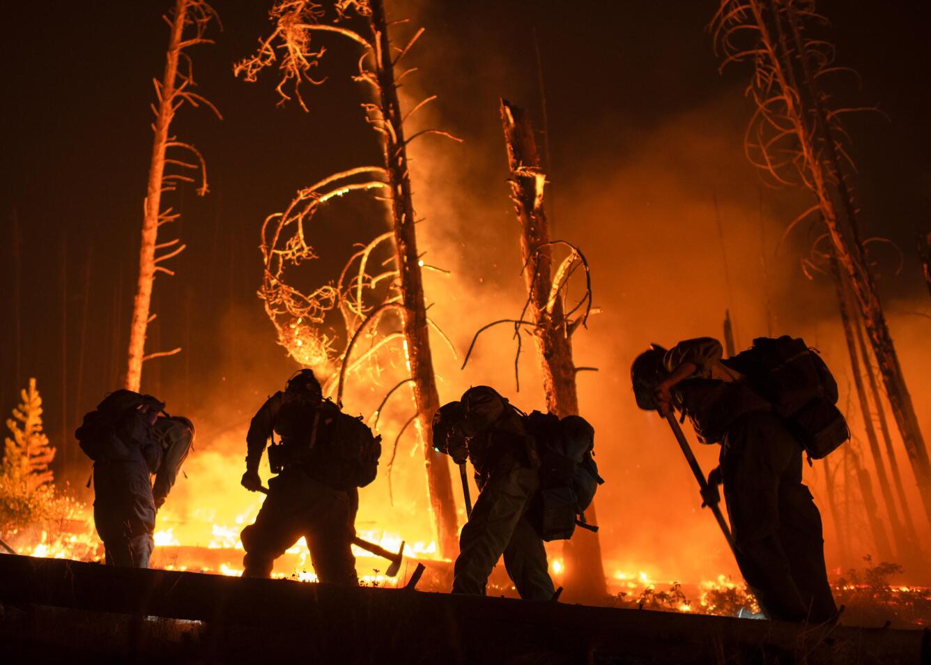 four firefighters walk in a line at night, burned trees and flames in the background