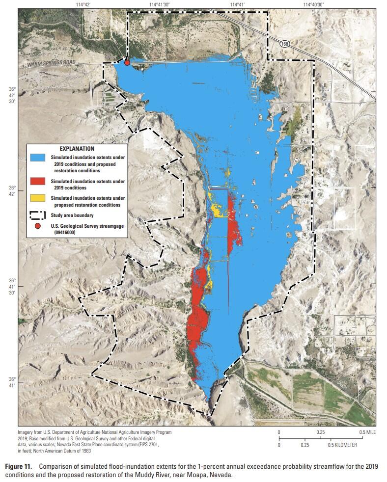 Map comparing simulated flood-inundation extents for current and restored conditions of the Muddy River near Moapa. 