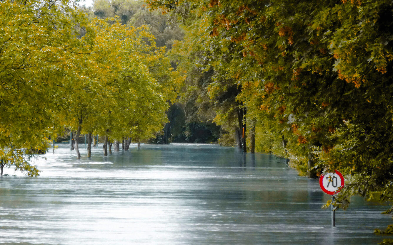 Flooded roadway and street sign surrounded by trees
