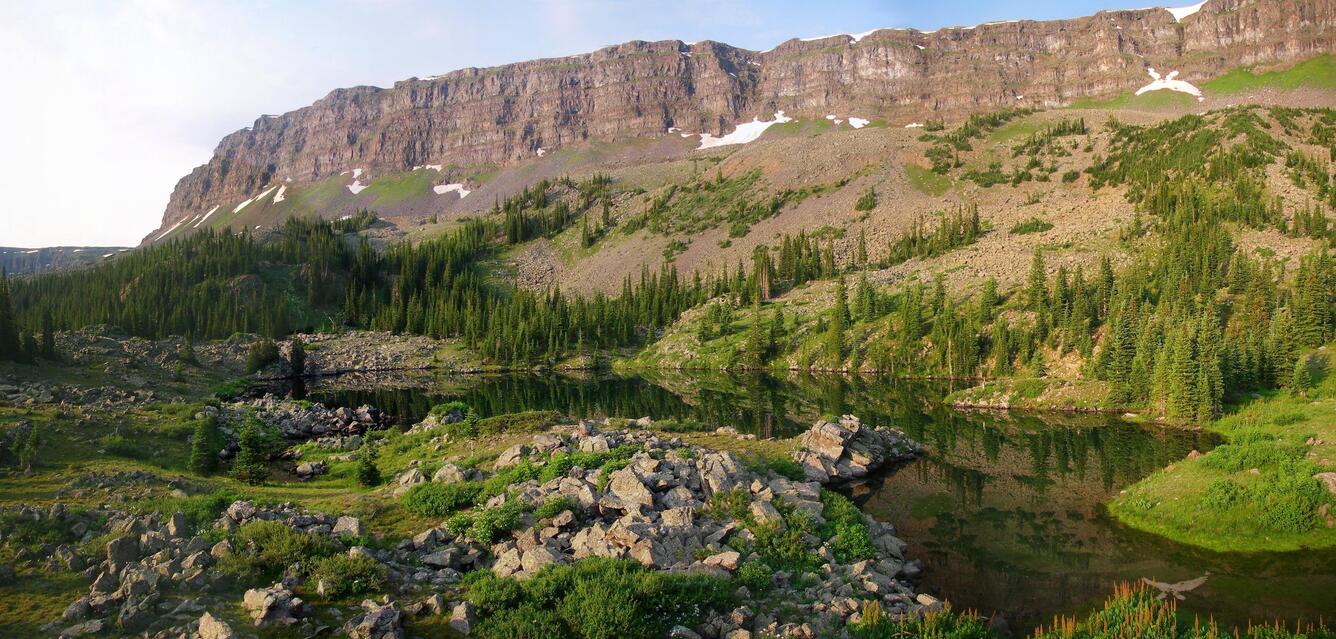 Image shows a ridgeline with a forest at the base of the ridgeline