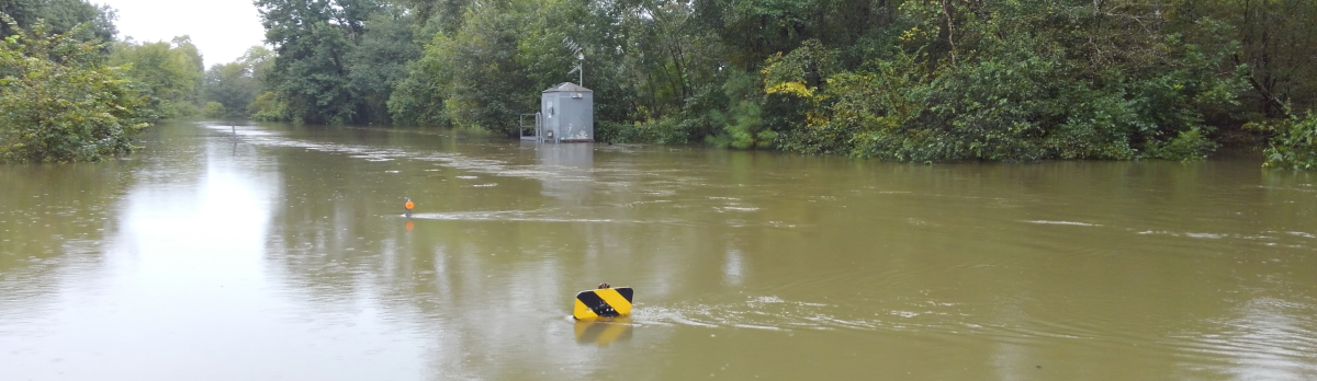 Gage in flood