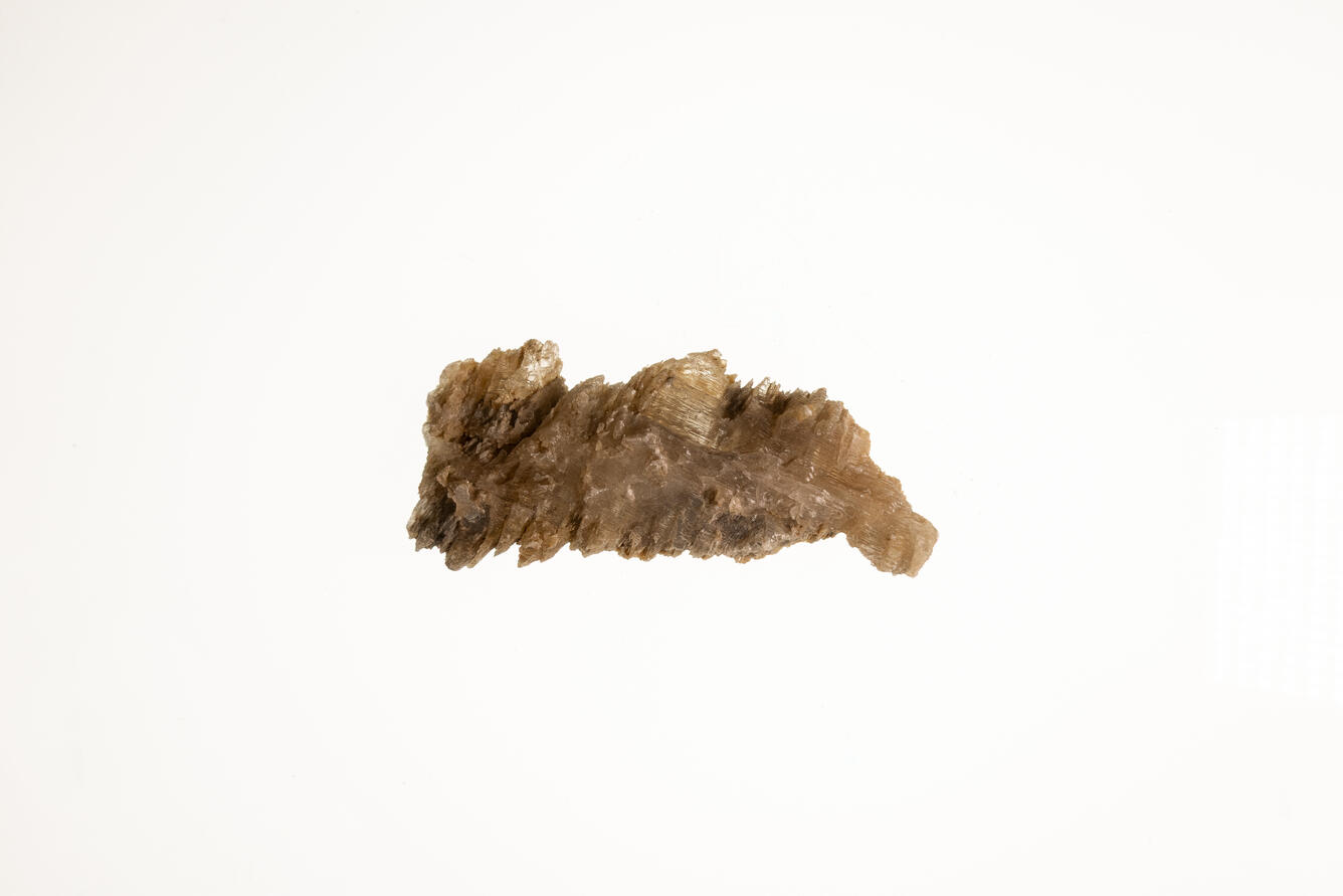 High-definition image of gypsum specimen showing fibrous texture and pale coloration.