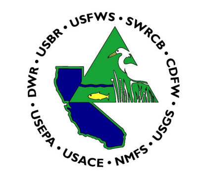 IEO logo