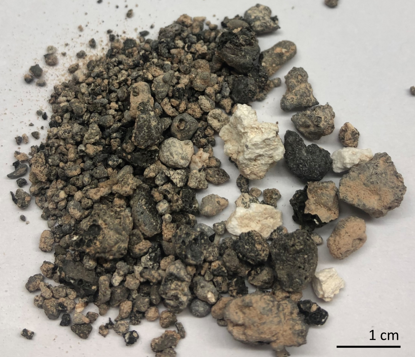 Small fragments of dark, glassy impact melt particles and larger, white shock-melted Coconino sandstone. 